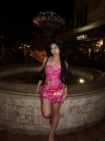 Vintage Hot Pink Strapless Satin Lace Floral Sheath Short Homecoming Dress Birthday Outfits SP111