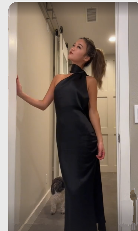 Elegant Black Backless Long Prom Dress,Black Evening Dress Y7426
