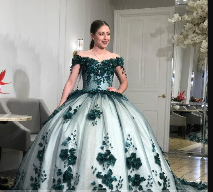 Off Shoulder Ball Gown with 3D Flowers Sweet Birthday Dresses 15 16 Quinceanera Dresses Y1475