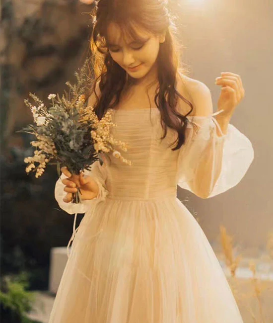 Champagne tulle long prom dress, champagne tulle evening dress Y257