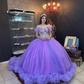 Charming Off The Shoulder Tulle Ball Gown,Sweet 16 Dress Y6028