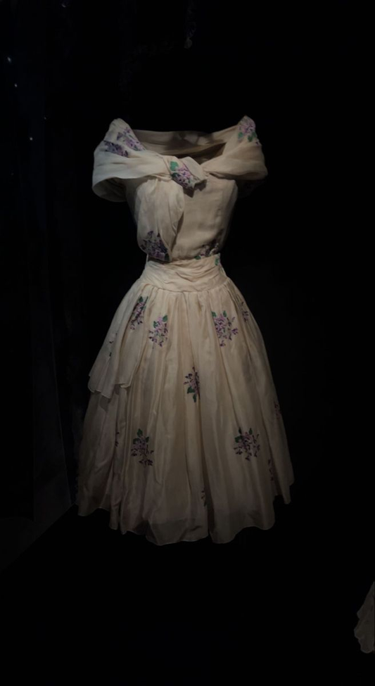 Vintage Off The Shoulder Tulle A Line Short Graduation Homecoming Dress Birthday Dress Y9840