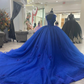 Princess Royal Blue Quinceanera Dresses Ball Gown Sweet 16 Dress Y4440