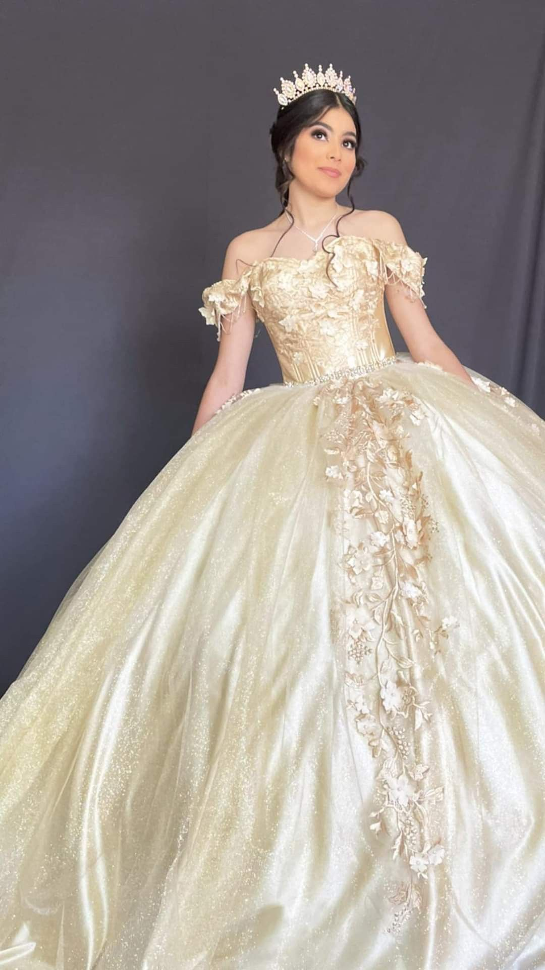 Charming Off The Shoulder Appliques Ball Gown Sweet 16 Dress Y2596