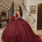 Luxurious Burgundy 3D Flowers Ball Gown,Sweet 16 Dress,Quinceanera Dress Y5320