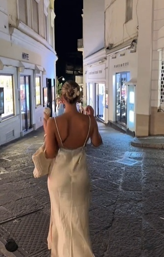 Romantic V Neck Spaghetti Straps Prom Dress,Wedding Guest Outfit  Y7394