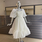 Pink Organza Prom Dress With Sheer Off Shoulder Sleeves Y2390