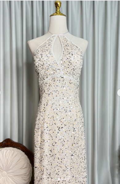 Sparkle Halter Backless Sequin Sheath Long Party Dress Formal Wedding Guest Dress SP630