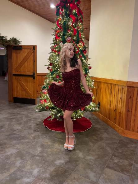 Elegant Burgundy Sequin A Line Short 9th Grade Homecoming Dress,Strapless Mini Birthday Dress SP2884