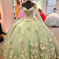 Mint Green Tulle Ball Gown with 3D Flowers,Sweet 16 Dress,Princess Dress,Quinceanera Dress   Y2252