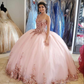 Pink Sweetheart Neckline Ball Gown Quinceanera Dress Tulle Princess Dress Y6475