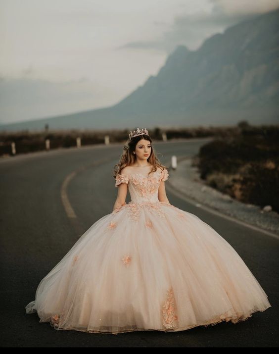 Chic Off The Shoulder Tulle Appliques Ball Gown Princess Dress Sweet 16 Dress Y399