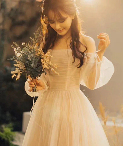 Champagne tulle long prom dress, champagne tulle evening dress Y257