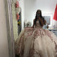 Rose Gold Sweetheart Puffy Princess Ball Gown Sweet 16 Dress Beaded Applique Quinceanera Dresses Y827